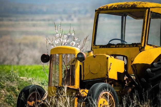 Antieke gele vintage oude verlaten tractor in het veld hallo lente bloesem boom