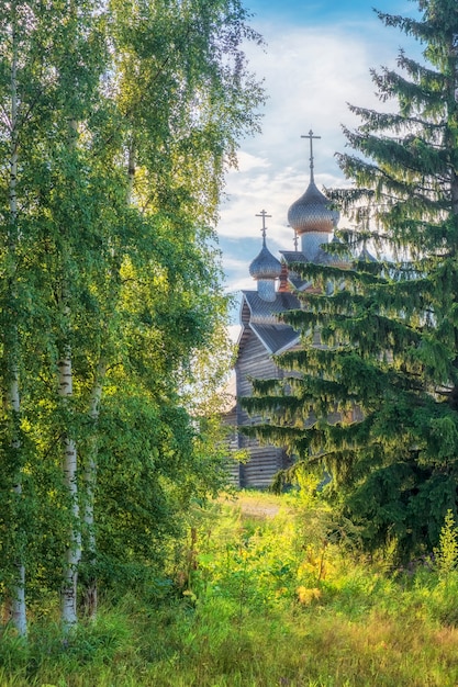 Antieke houten Russisch-orthodoxe Driekoningenkerk, in de regio Vologda in het dorp Paltoga, regio Vologda in Rusland