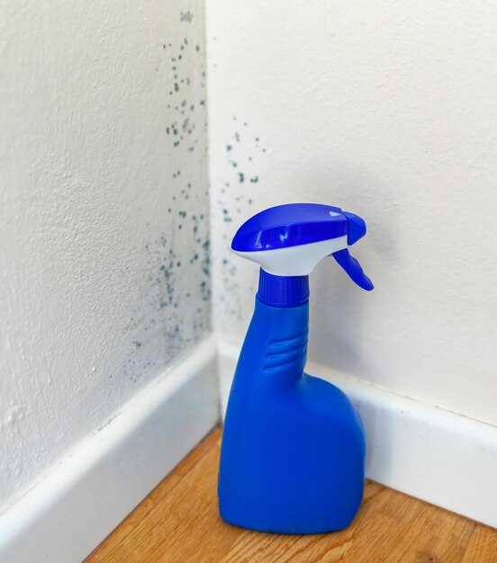 Antimould spray for mold removal