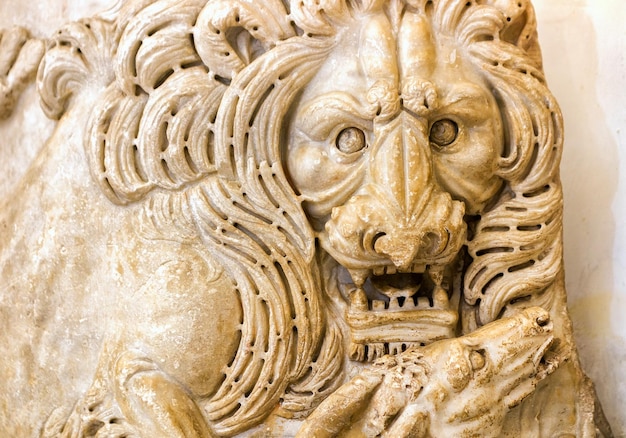 Antique basrelief of a lion in the Capitoline Museum Rome