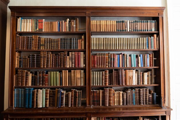 The antique books on the bookshelf.