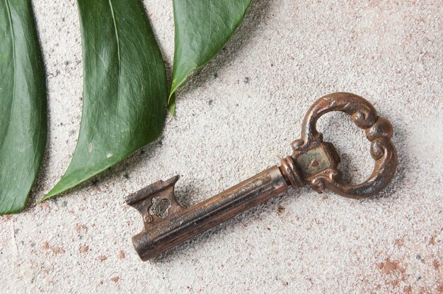 Antique corkscrew on concrete background