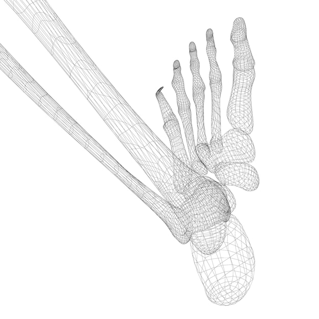 사진 경로가 있는 골동품 그랜드 피아노, 3d 모델 본체 구조, 와이어 모델