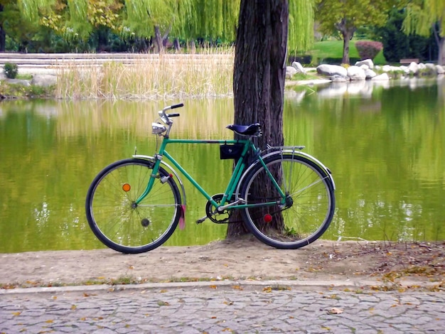 Antique green bike leaning against a tree by the lake in the park