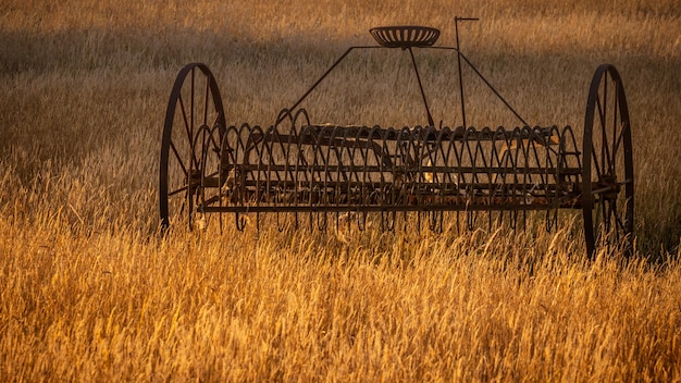 Photo antique hay rake in a farmers field at sunset