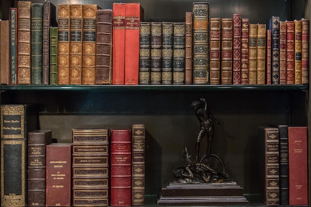 Antique and rare Books Shelf