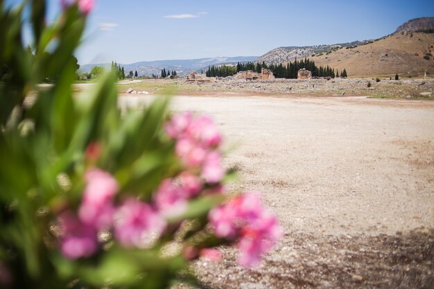 Antique Roman Hierapolis