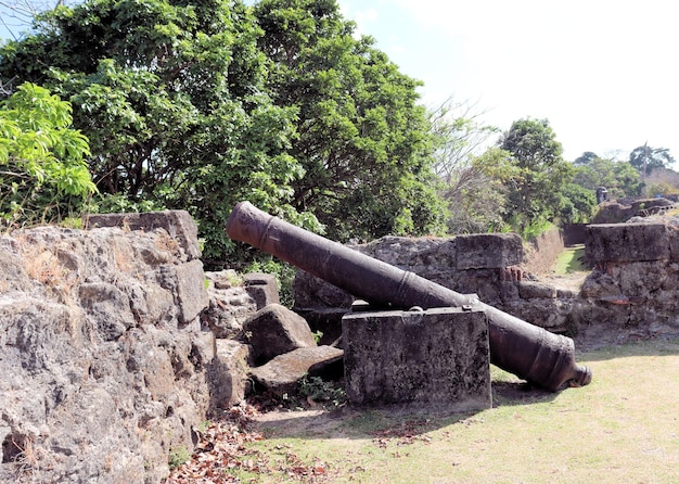 Antique Spanish cast iron cannons