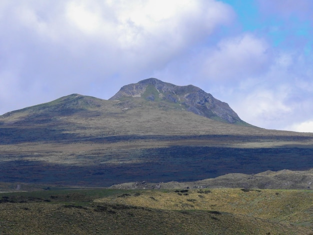 Photo antisana ecological reserve antisana volcano ecuador