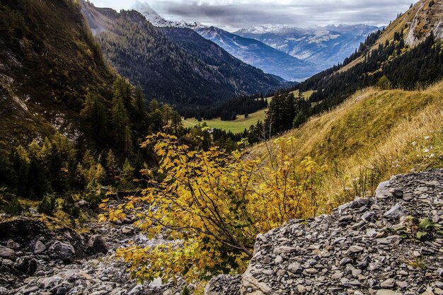 Foto anzeide in gryon in vaudswiss