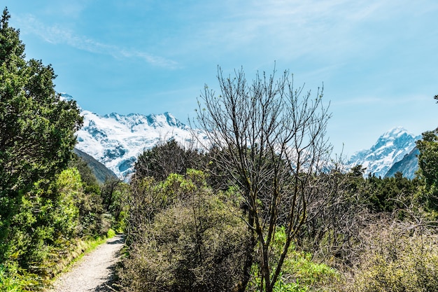 aoraki mount cook de hoogste berg van nieuw-zeeland