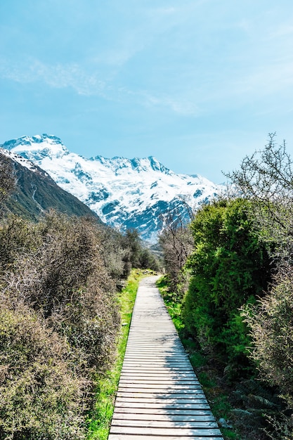 aoraki mount cook de hoogste berg van nieuw-zeeland