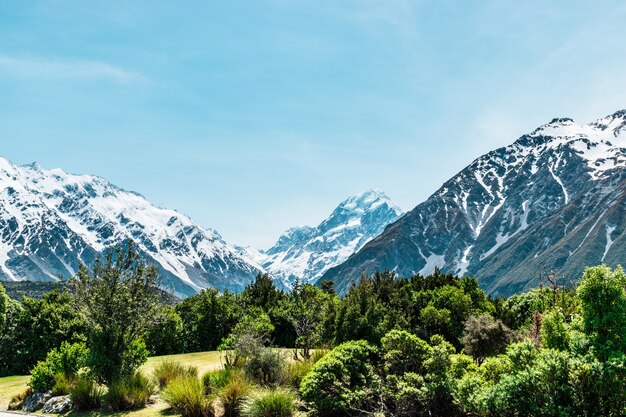 Photo aoraki mount cook the highest mountain in new zealand