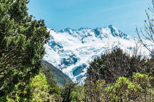 гора Аораки Кук самая высокая гора в Новой Зеландии