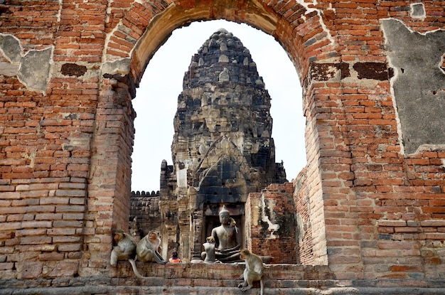 Apen spelen bij Phra Prang Samyod in Lopburi Thailand