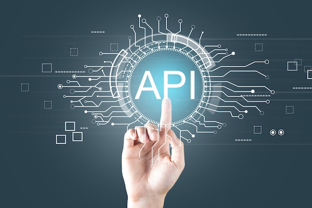 API-interface programmeringsinterface