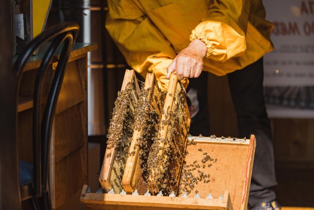 Apiarist putting hive frames on the beekeeping frame holder