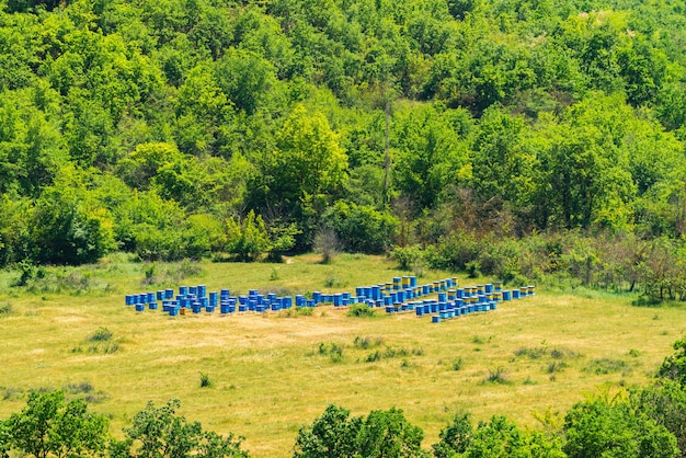 Apiary in a glade in the forest