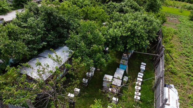 apiary near the house with a garden.