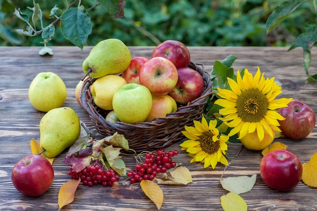 Aplesand zonnebloem op houten tafel in de tuin