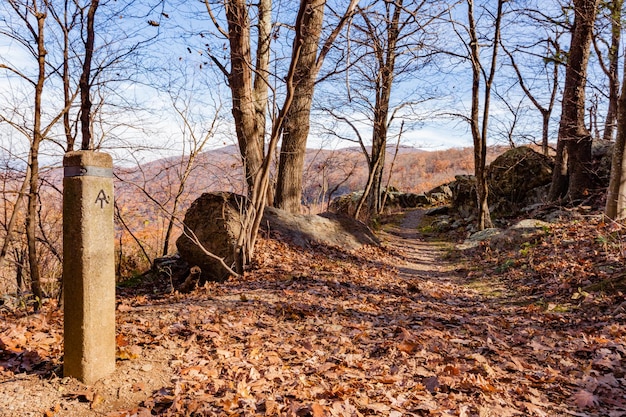 Photo appalachian trail in shenandoah np virgina va usa