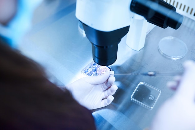 Apparatuur op laboratorium van bevruchting IVF Microscoop van reproductieve geneeskunde kliniek bevruchtend ei buiten vrouwelijk lichaam Ziekte laboratoriumonderzoek