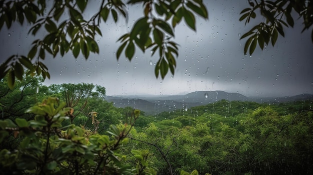 the appearance of nature in the rain