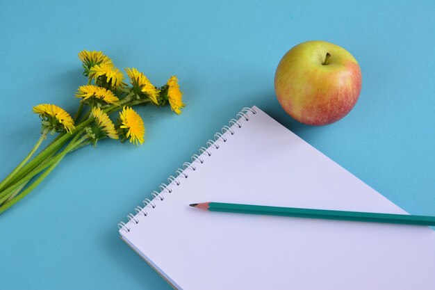 appel en potlood op notitieboekje met paardebloemen op de blauwe achtergrond