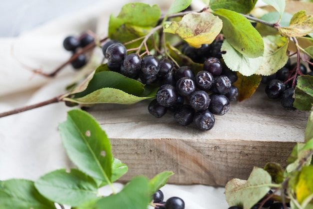 Appelbes branch op een houten bord op een witte achtergrond