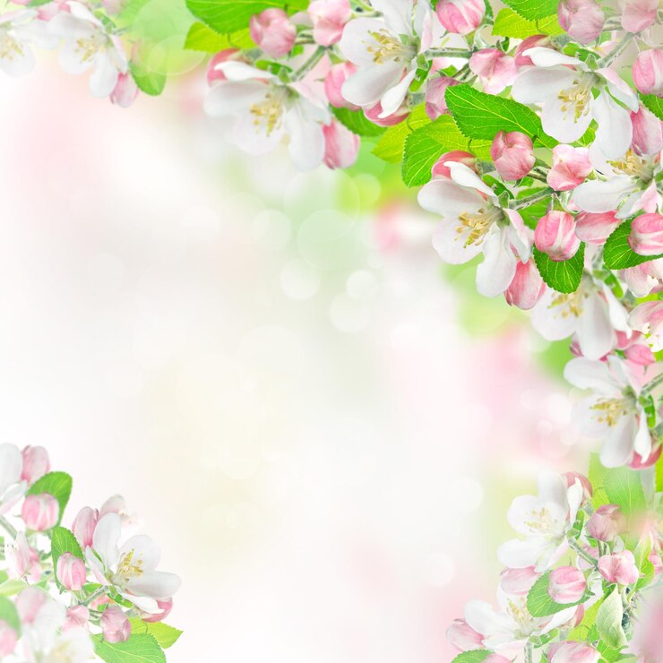 Foto appelbloesems op een wazige natuur achtergrond