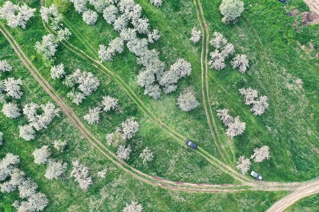 Appelbomen bloesemtuin bovenaanzicht drone