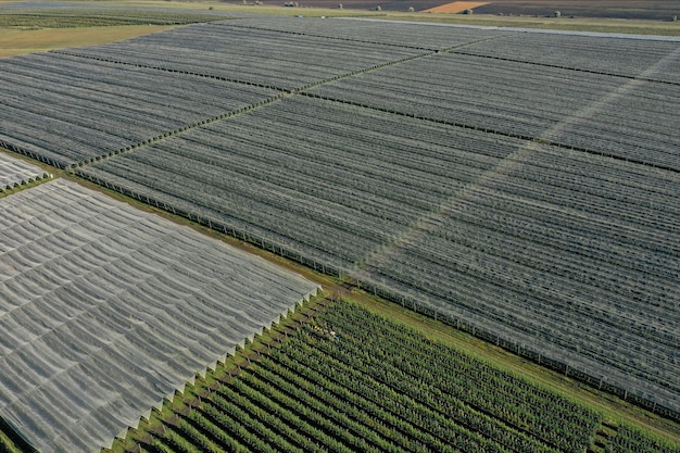 Appelboomgaard landschap