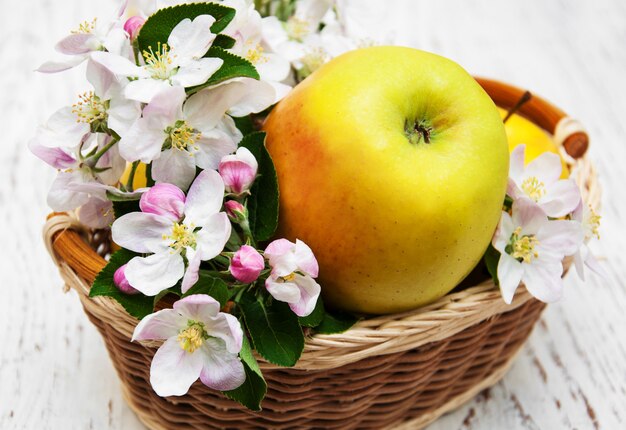 Appels en appelboombloesems