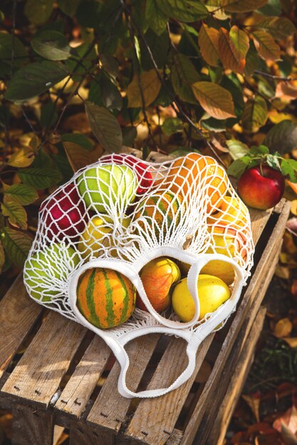 Appels en pompoenen in een string zak op een landelijke doos in een tuin