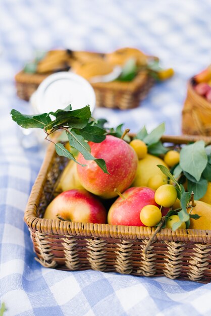 Appels en pruimen in een rieten mand op een wit blauw gecontroleerd tafelkleed op een zomerpicknick