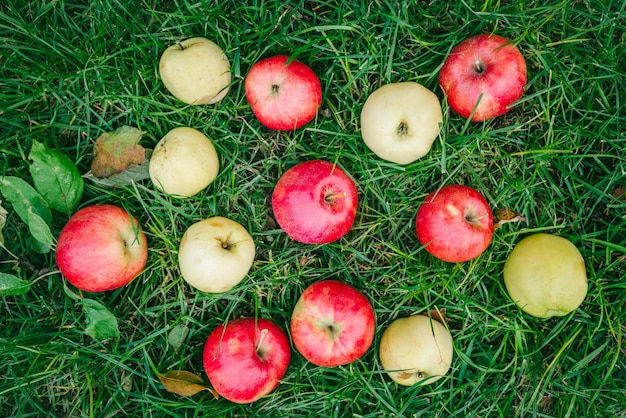 Appels op het gras