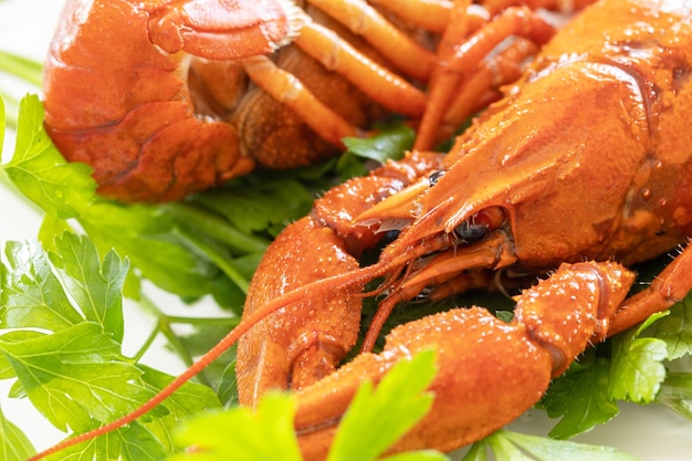 Appetizer protein Boiled Crawfish close up and parsley leaves