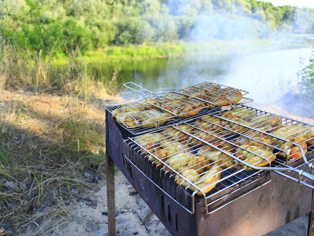 appetizing barbecue from hen's meat cooking in the nature