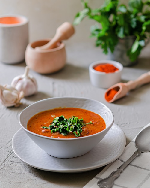 Appetizing paprika soup. National Hungarian cuisine.