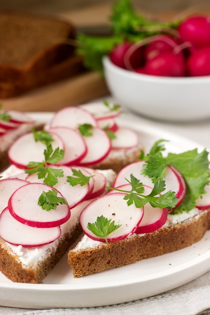 Appetizing sandwiches of rye bread with curd cheese, radishes and lettuce. Rustic style.