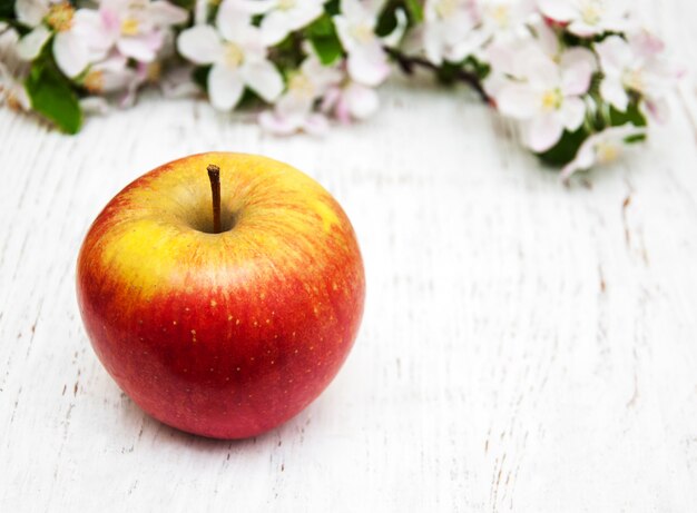 Apple and apple tree blossoms