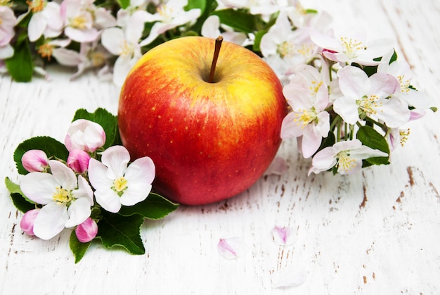 Apple and apple tree blossoms