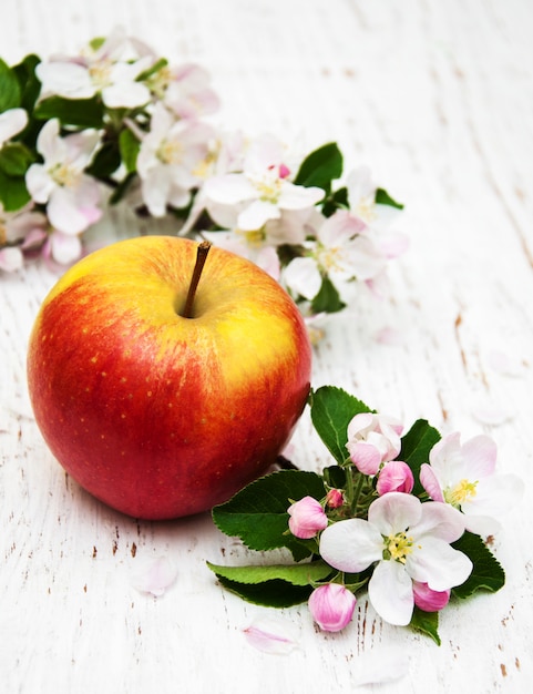 Apple and apple tree blossoms