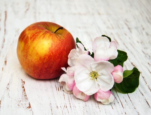 Photo apple and apple tree blossoms