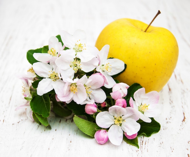 Apple and apple tree blossoms