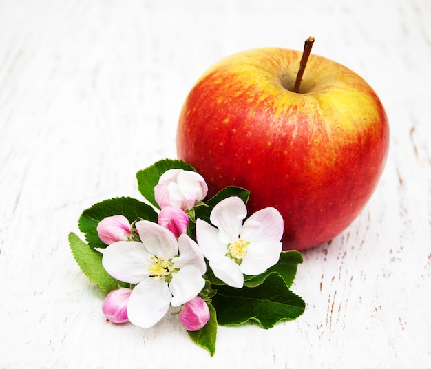 Apple and apple tree blossoms