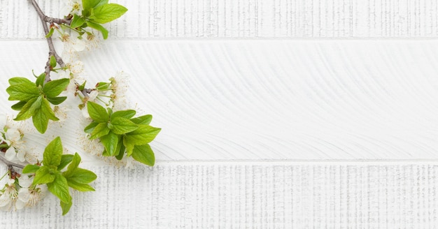 Apple blossom tree branch on wooden table