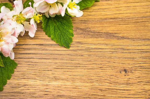 Apple blossom on wooden background. Copy space.