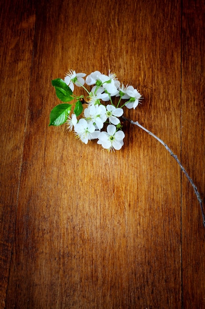 木製の背景にリンゴの花