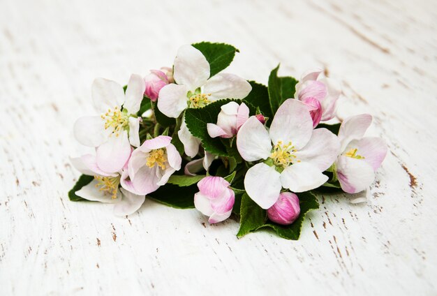 Apple blossoms 